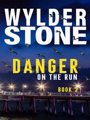 cover image of Danger On the Run